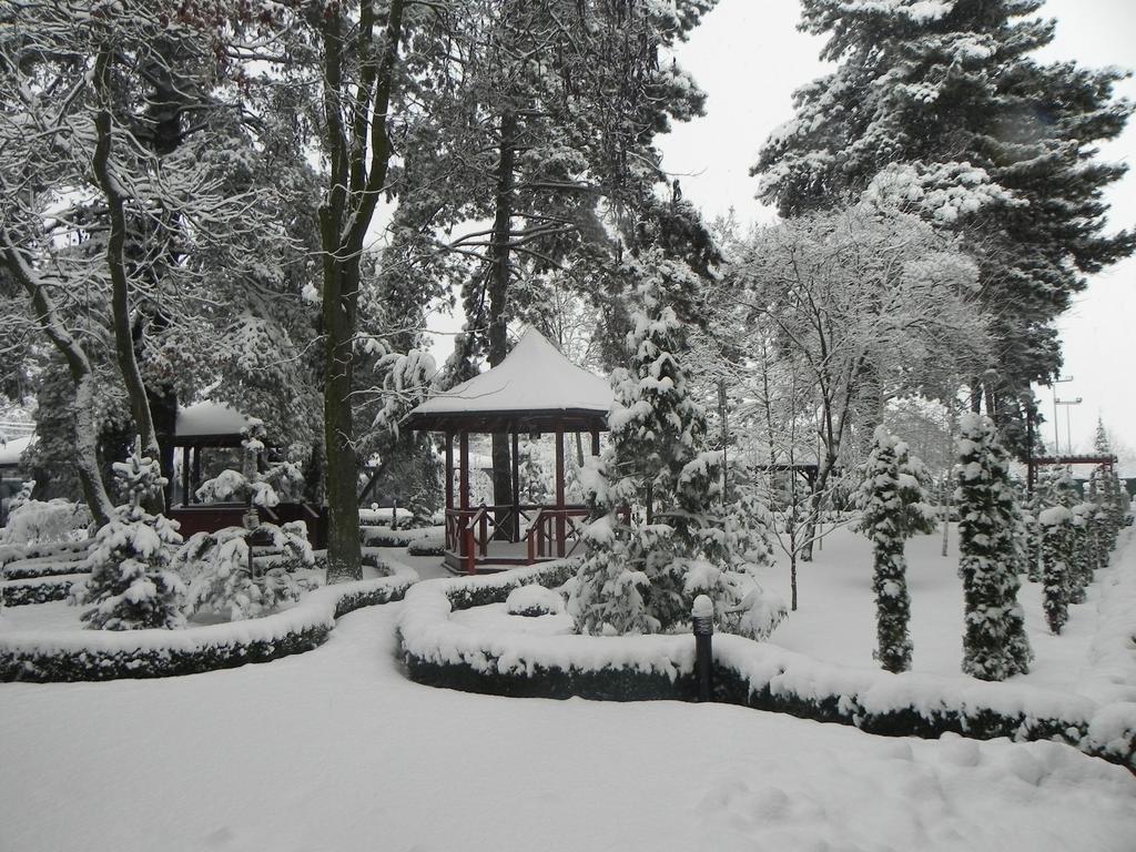 Hotel Baneasa Parc Bukarest Exteriör bild
